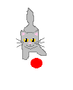 cat and ball