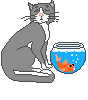 catinbowl