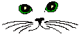 cat's face
