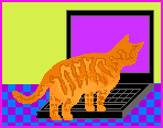 puter cat