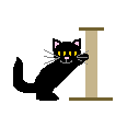 happy cat